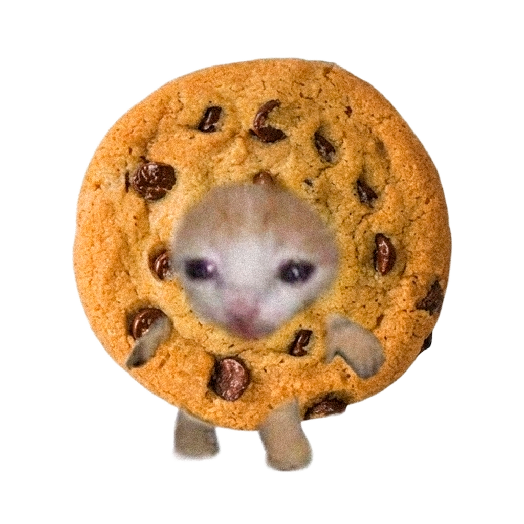 Cookie Cat — a kitten wearing a cookie costume